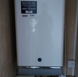 Click Here To View Larger Image